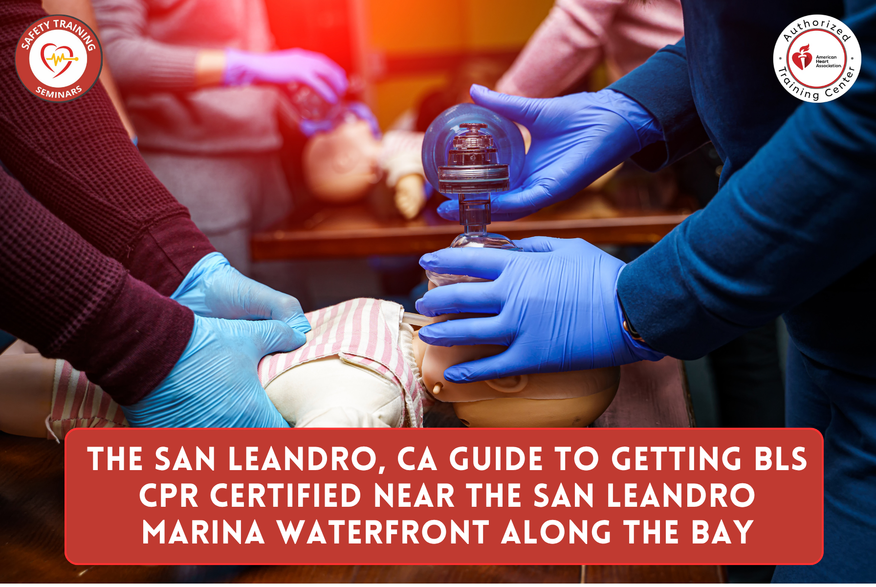 The San Leandro, CA Guide to Getting BLS CPR Certified Near the San Leandro Marina waterfront along the Bay
